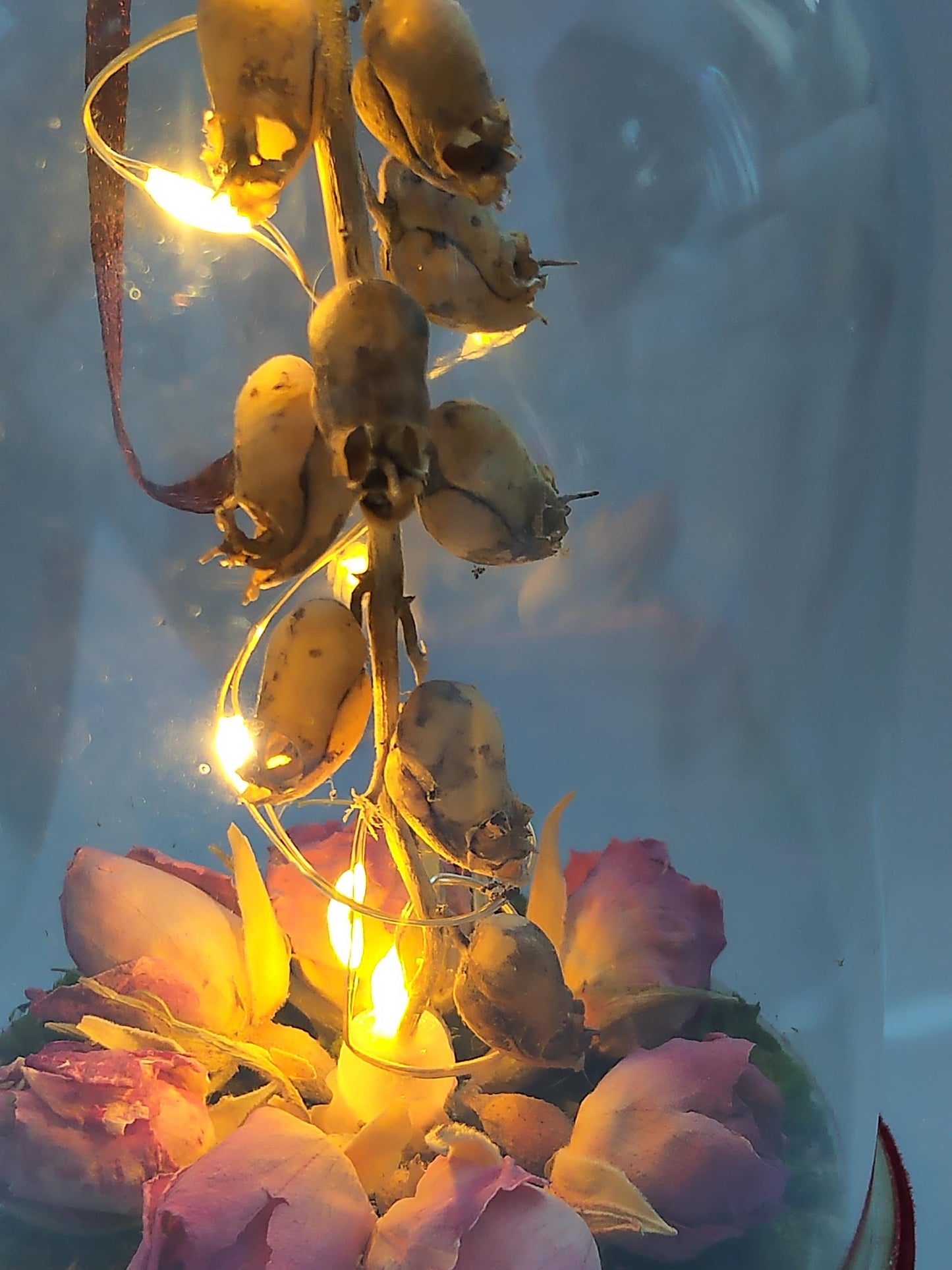 Light Up Dome Skulls n Roses