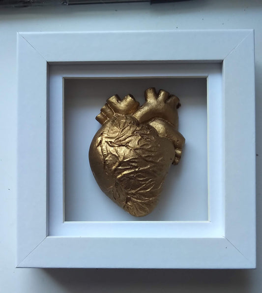 Heart of Gold Anatomical Framed Gold Heart