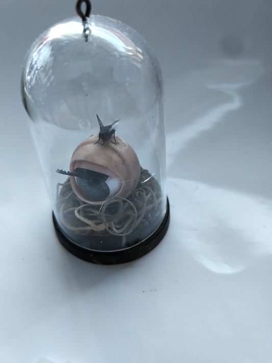 Eye Spy a Dead FLY mini dome jar