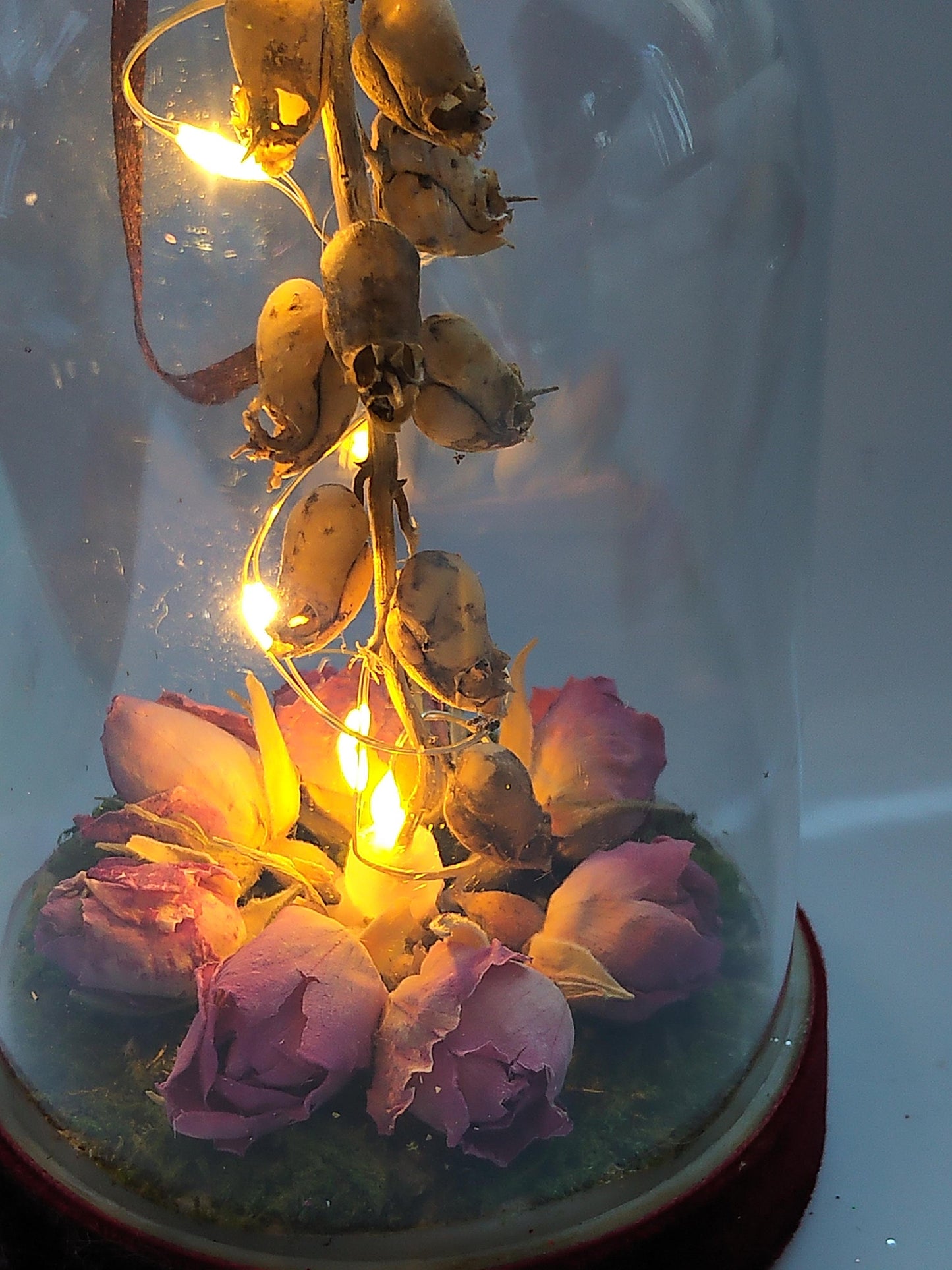 Light Up Dome Skulls n Roses